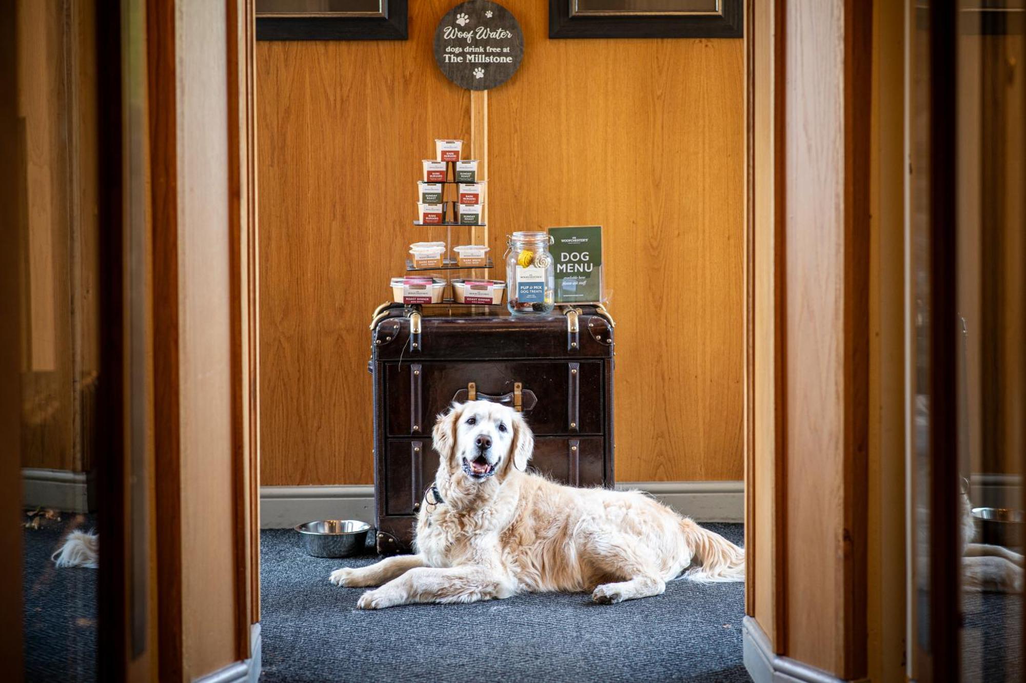 The Millstone, Mellor Hotell Blackburn  Exteriör bild The Dog Room